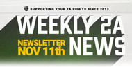 2A Newsletter - Week of November 11th!