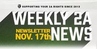 2A NEWSLETTER: WEEK OF NOVEMBER 17TH