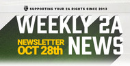 2A Newsletter: Week of October 28th