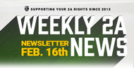 2A NEWSLETTER: WEEK OF FEBRUARY 16th