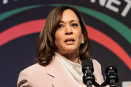 Kamala Harris' Plan to Use Databases for Gun Confiscation