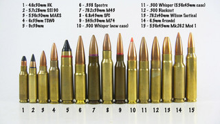 A Complete Guide to Alternative AR-15 Rounds thumbnail image
