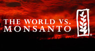 The $332 Million Wake-Up Call: Why the Monsanto Verdict Matters