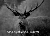 Night Vision