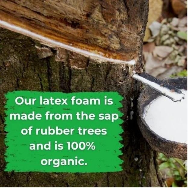 Latex Mattress Topper, close-up of latex foam made from sap of rubber trees demonstrating organic and natural material.