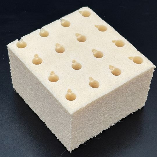 Organic Dunlop Latex foam sample to try before you buy