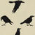 Gift Wrap - Crows - Cream