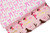 Bows Cream/Pink Gift Wrap