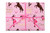 Cowgirl Rose/Brown/White/Pink/Gold Foil Gift Wrap