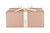 Solid Colored Gift Wrap - Cashmere