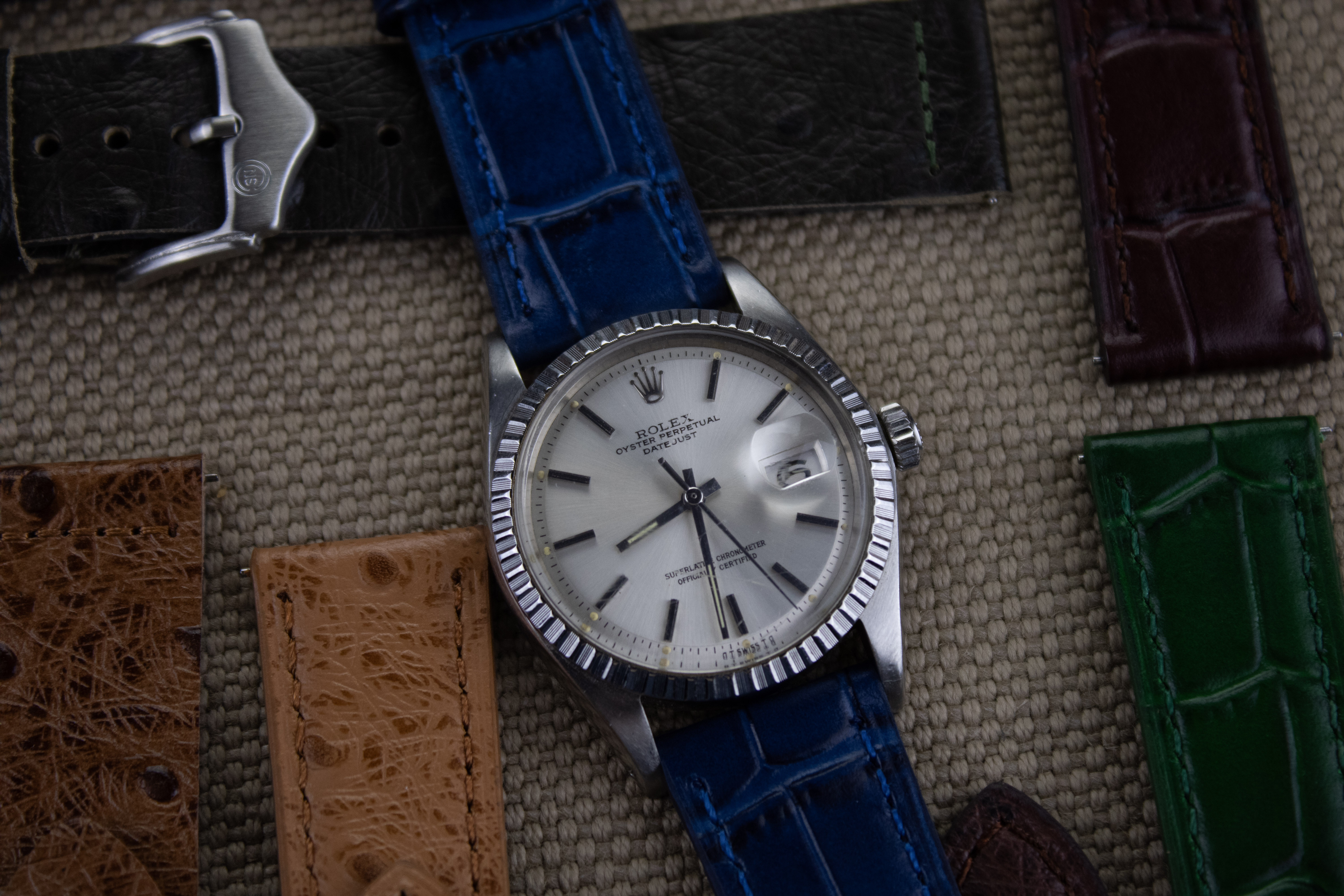 Blue Alligator watch band on a Rolex Datejust - CNS Watch Bands