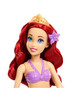 Disney Princess Ariel Mermaid Doll With Pool Playset & Accessories