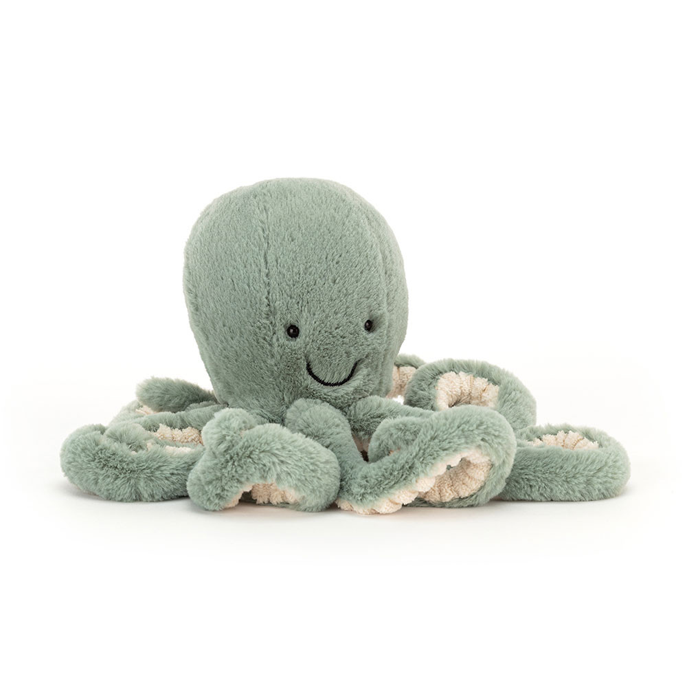 Odyssey Octopus Little, Main View