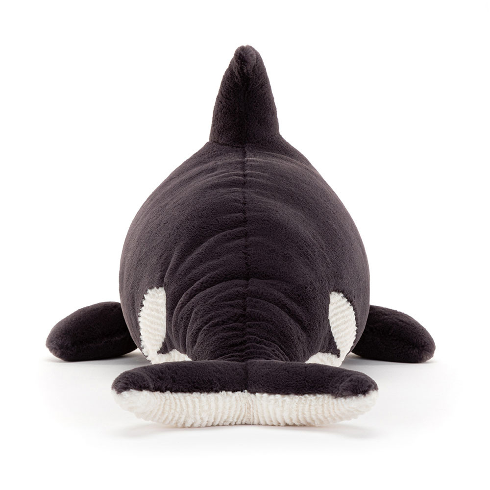 Ollivander the Orca, View 3