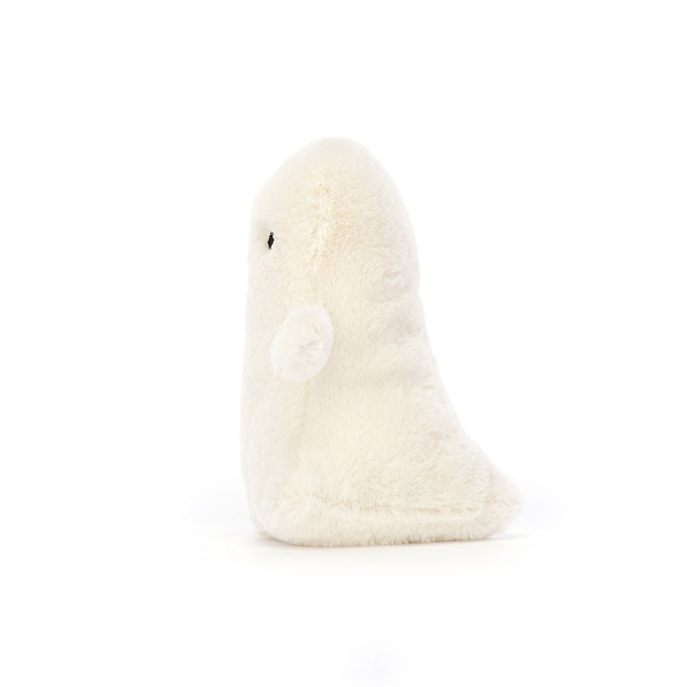 Ooky Ghost, Main View