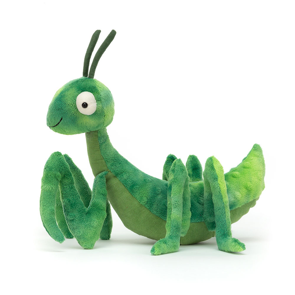 Penny Praying Mantis, Main View