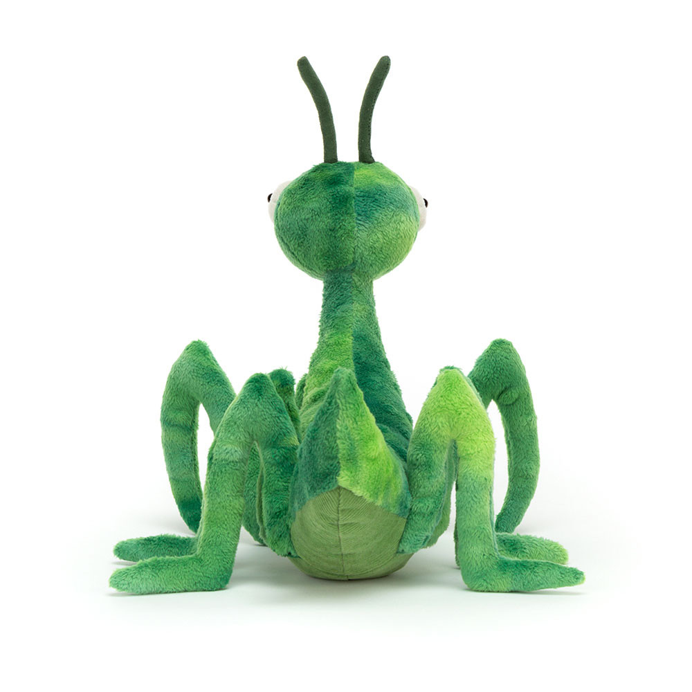 Penny Praying Mantis, View 2