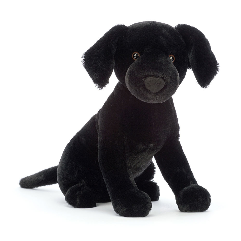 Pippa Black Labrador, Main View