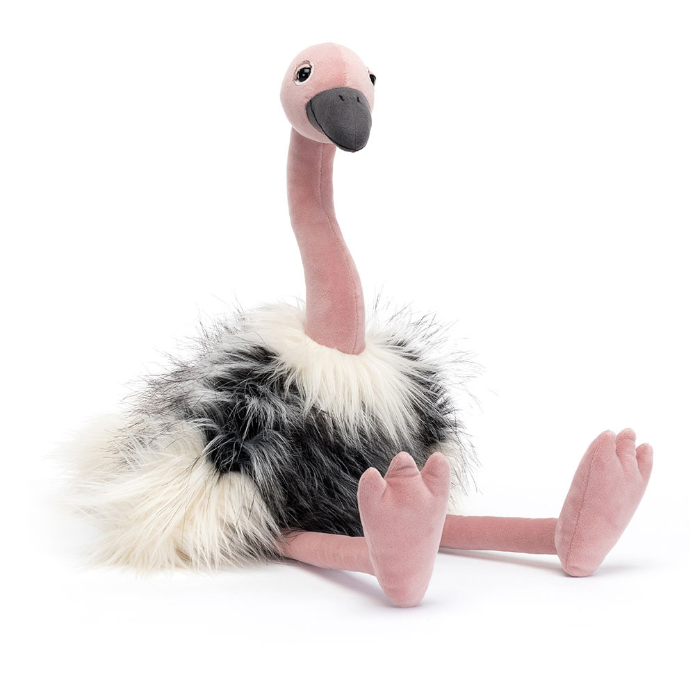 Ramonda Ostrich, Main View