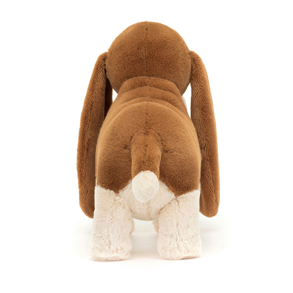 Randall Basset Hound, View 3