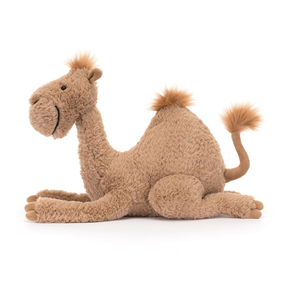 Richie Dromedary, View 2