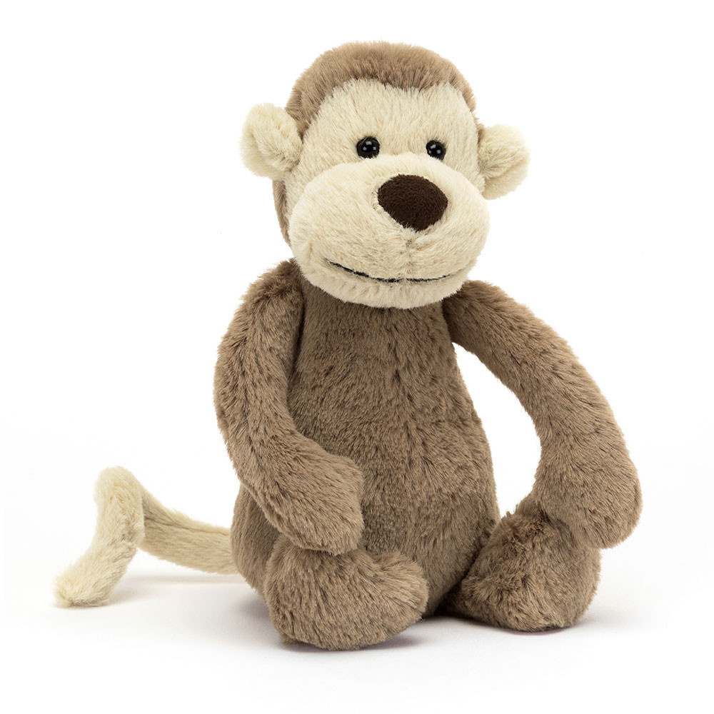 If I Were A Monkey Book and Bashful Monkey, View 4