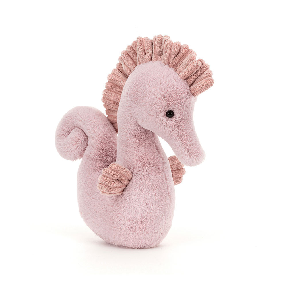 If I Were A Seahorse Book and Sienna Seahorse, View 3