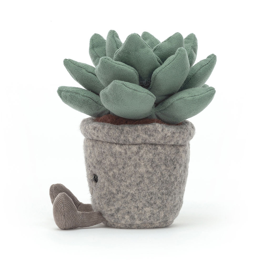 Silly Succulent Azulita, View 2
