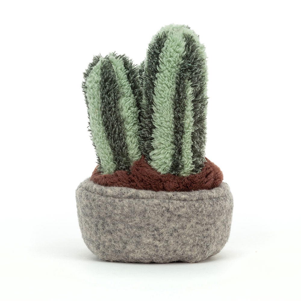 Silly Succulent Columnar Cactus, View 3