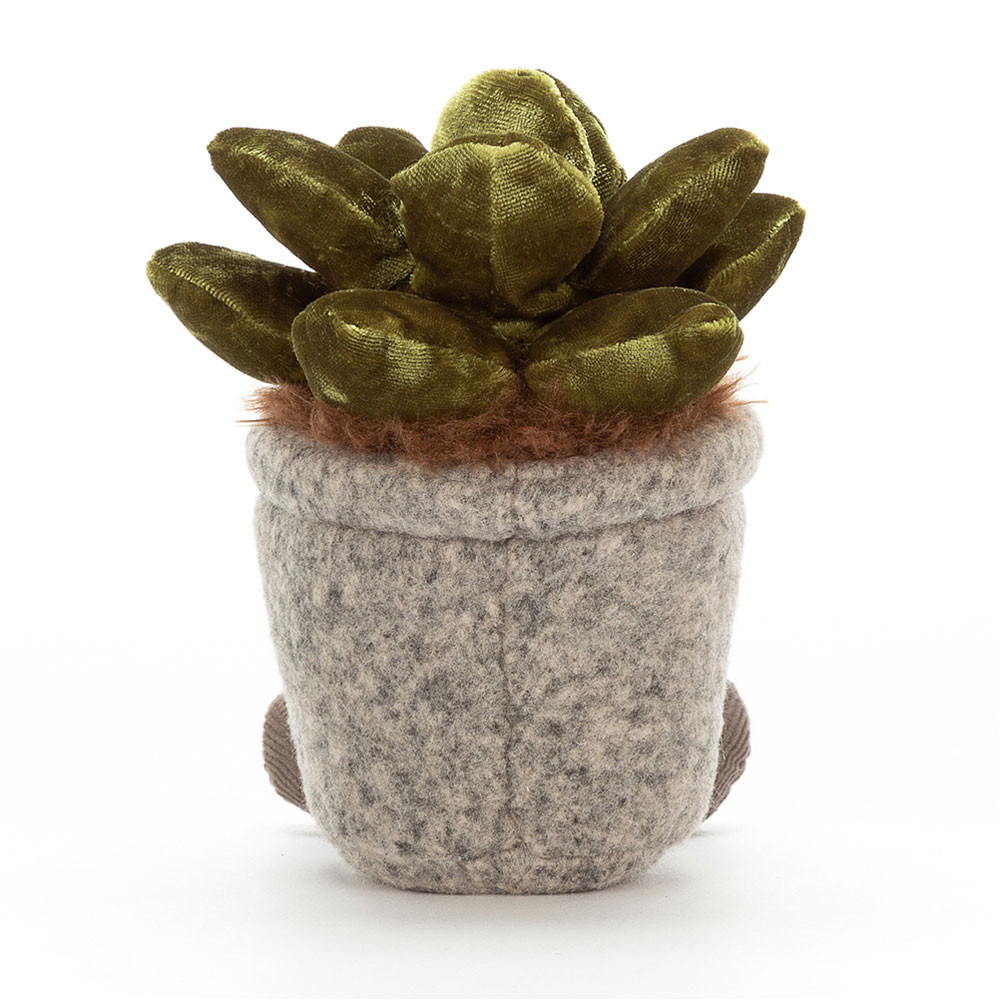 Silly Succulent Jade, View 3
