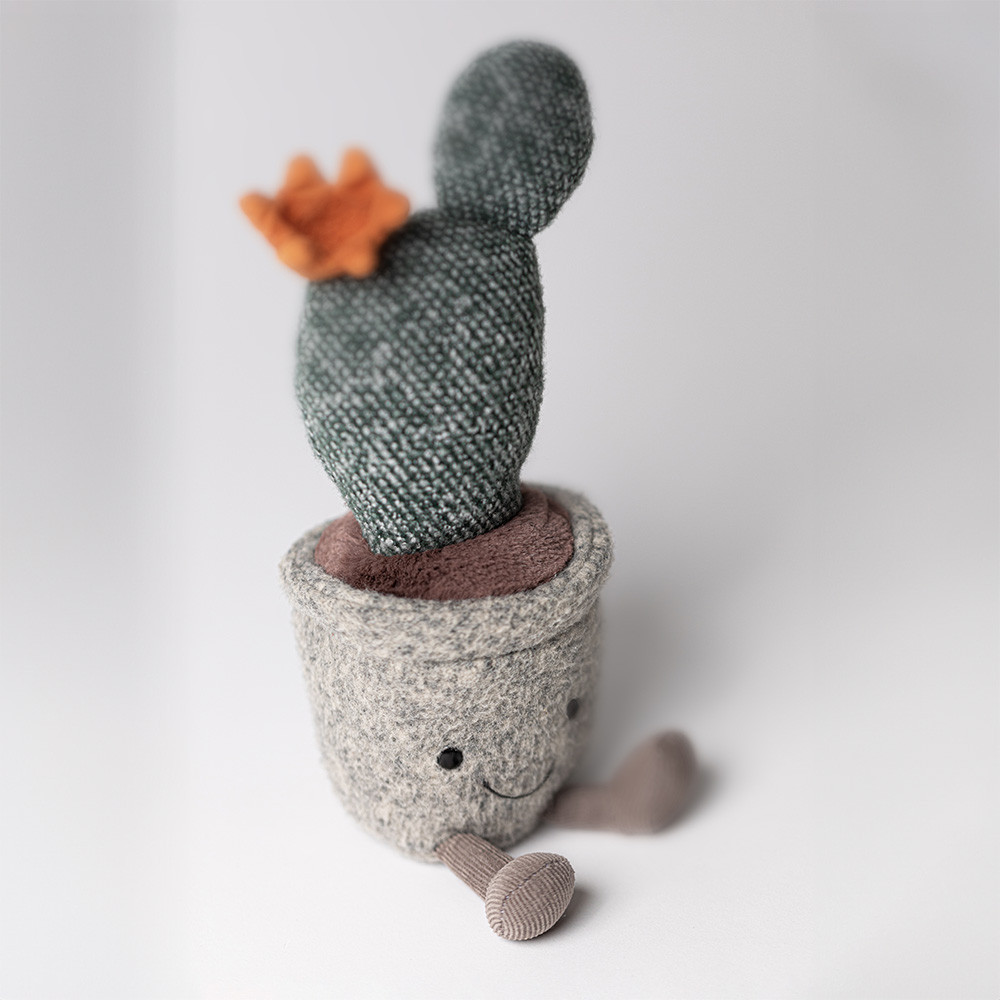 Silly Succulent Prickly Pear Cactus, View 1