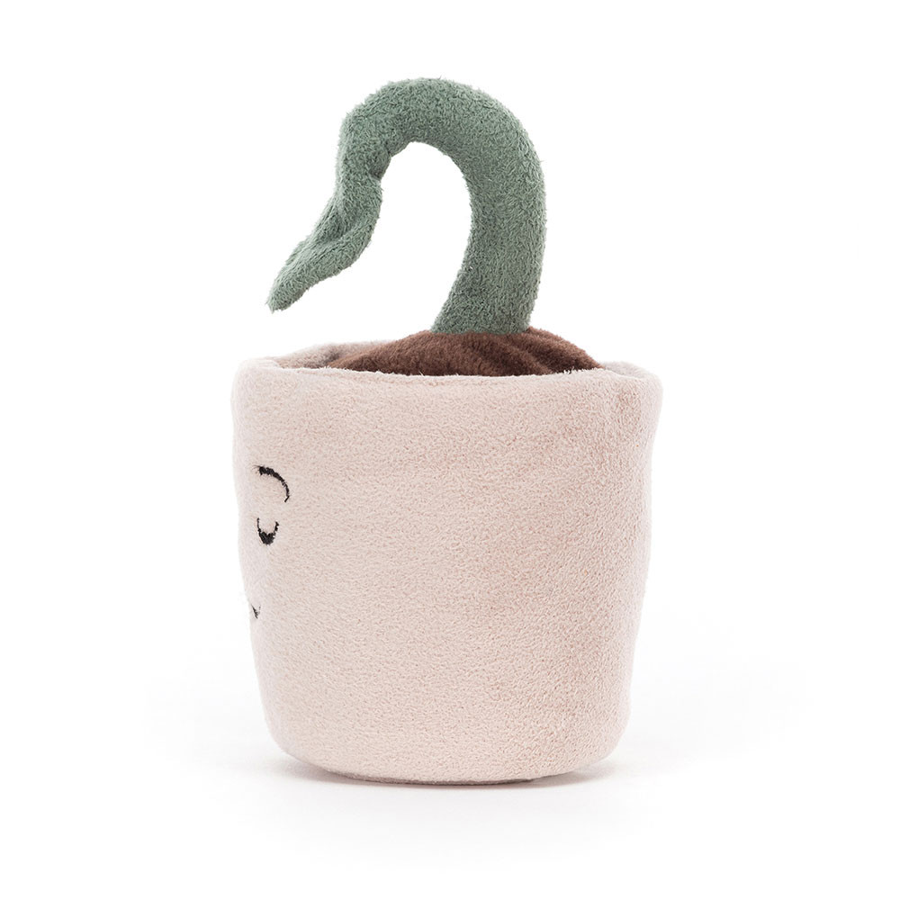 Silly Seedling Serene, Main View