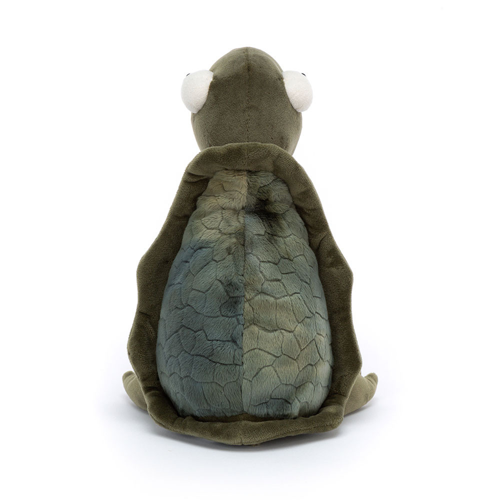 Tommy Turtle, View 2