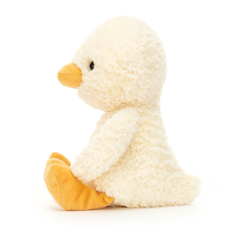 Tumbletuft Duck, Main View
