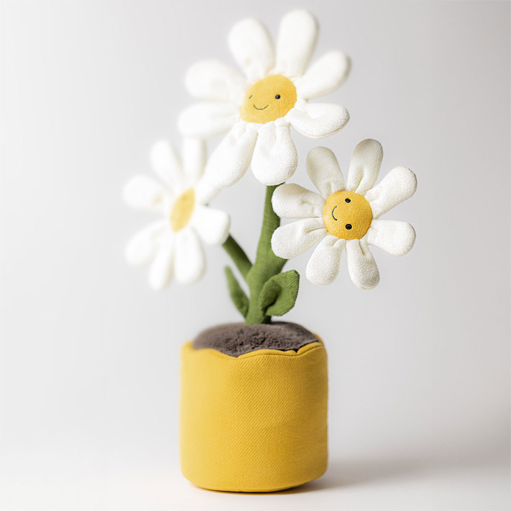 Amuseable Daisy, View 1