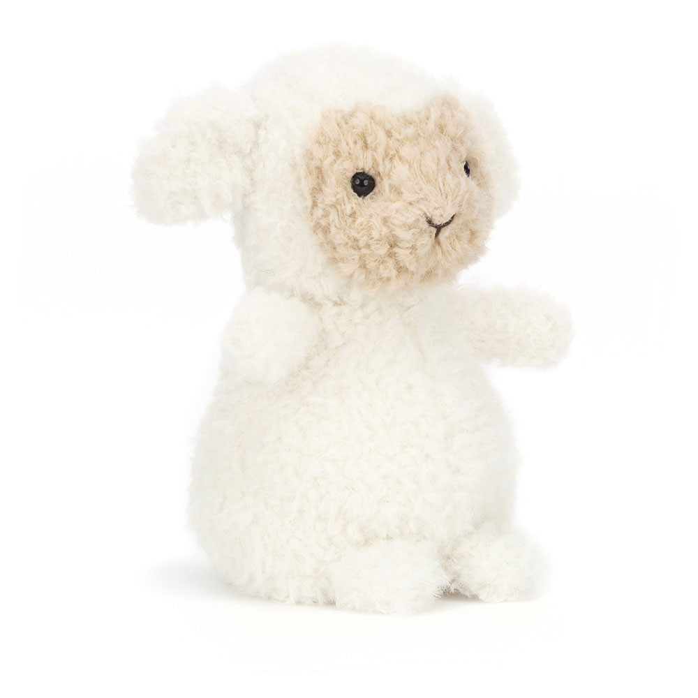 Wee Lamb, Main View
