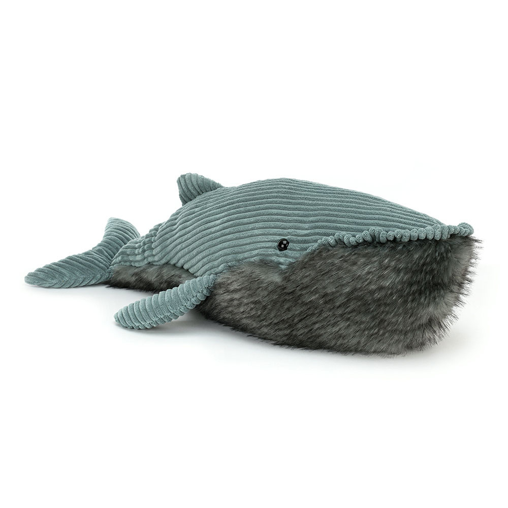 Wiley Whale Huge, Main View