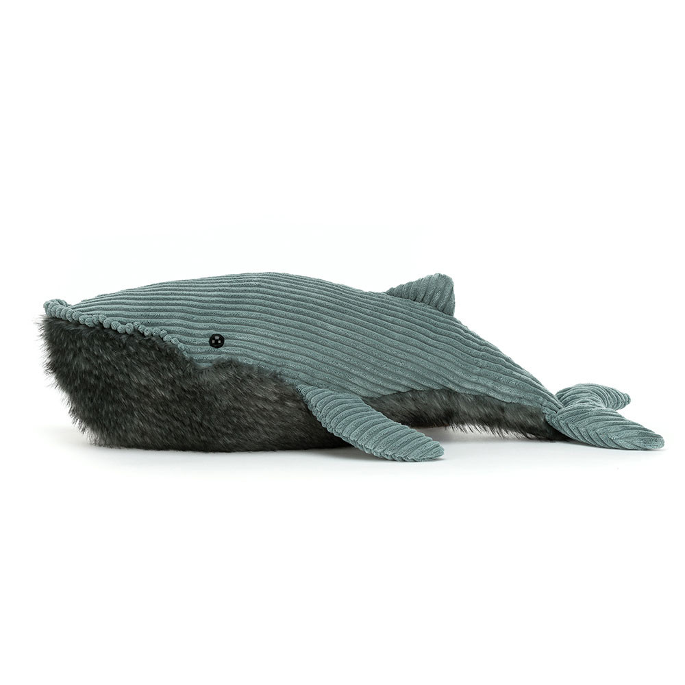 Wiley Whale Huge, Main View