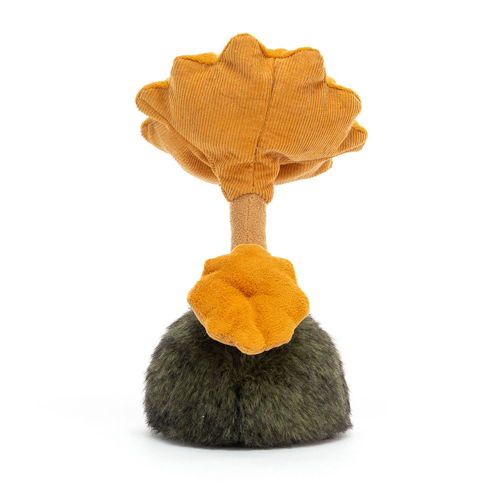 Wild Nature Chanterelle Mushroom, View 3