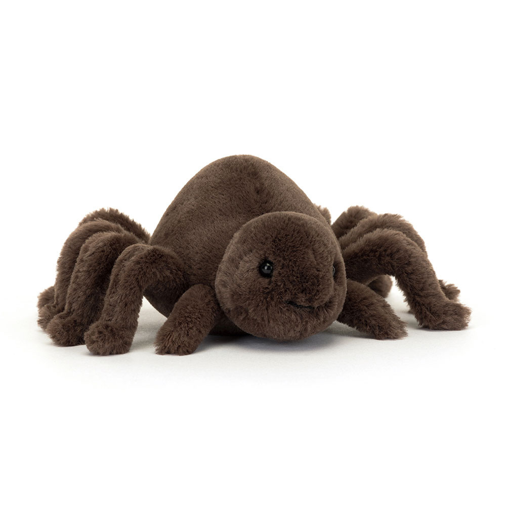 Ooky Spider, Main View