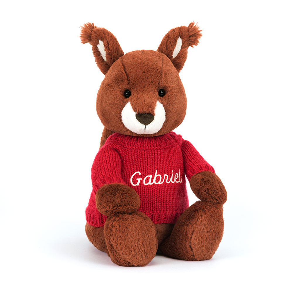 Bashful Squirrel with Personalised Red Jumper, Main View