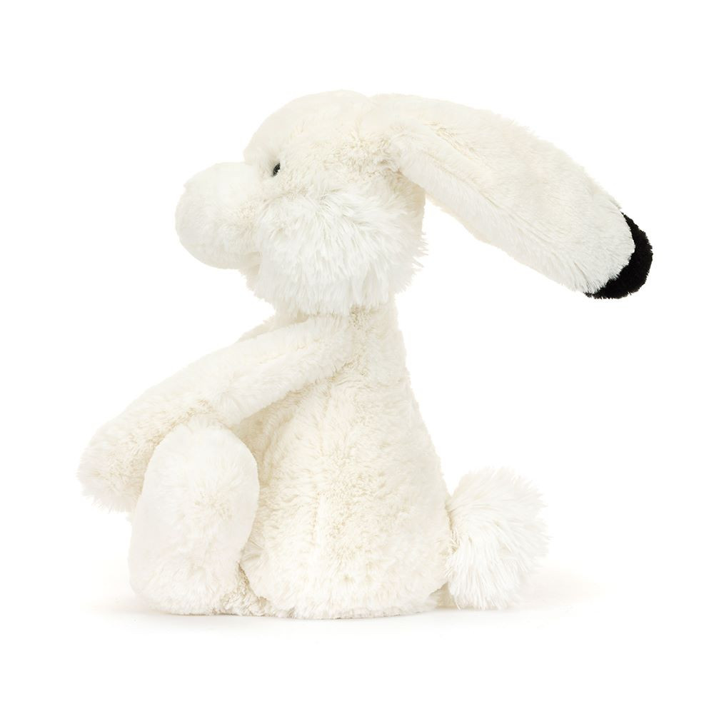 Arlo Hare, View 2