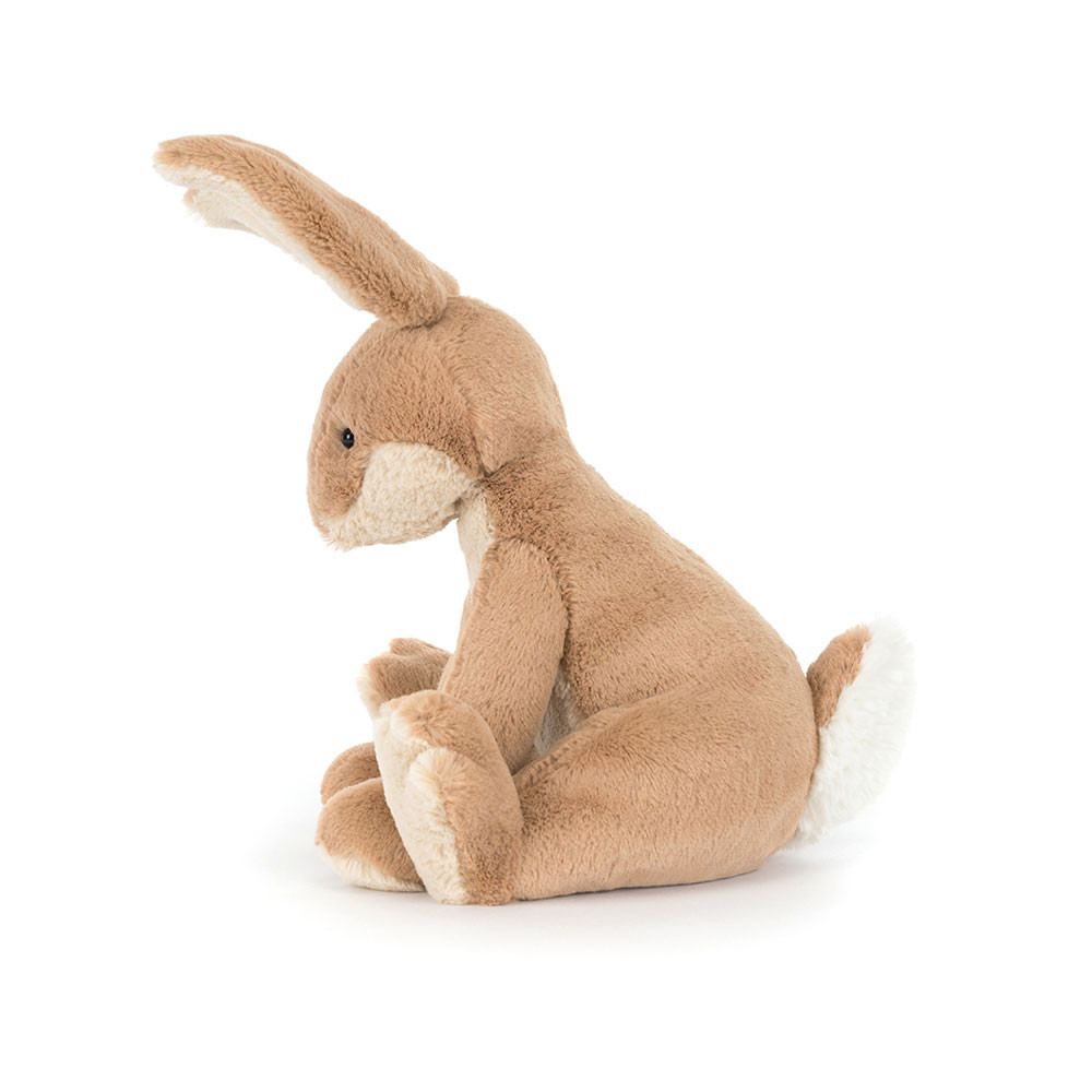 Horticus Hare, View  2