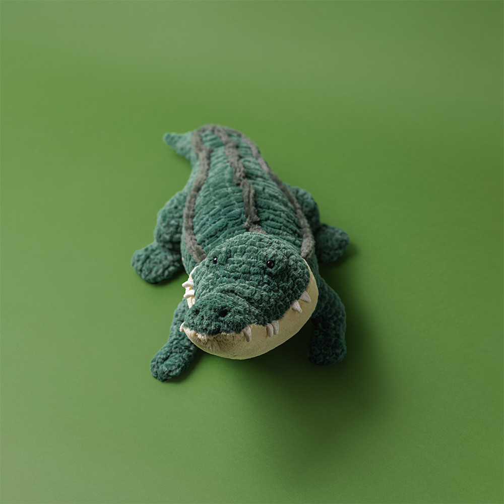Allexi Alligator, view 1