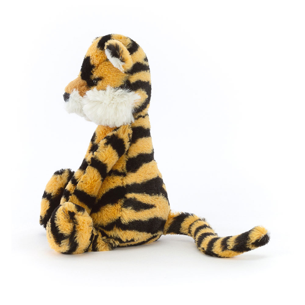 Bashful Tiger Little, Main View