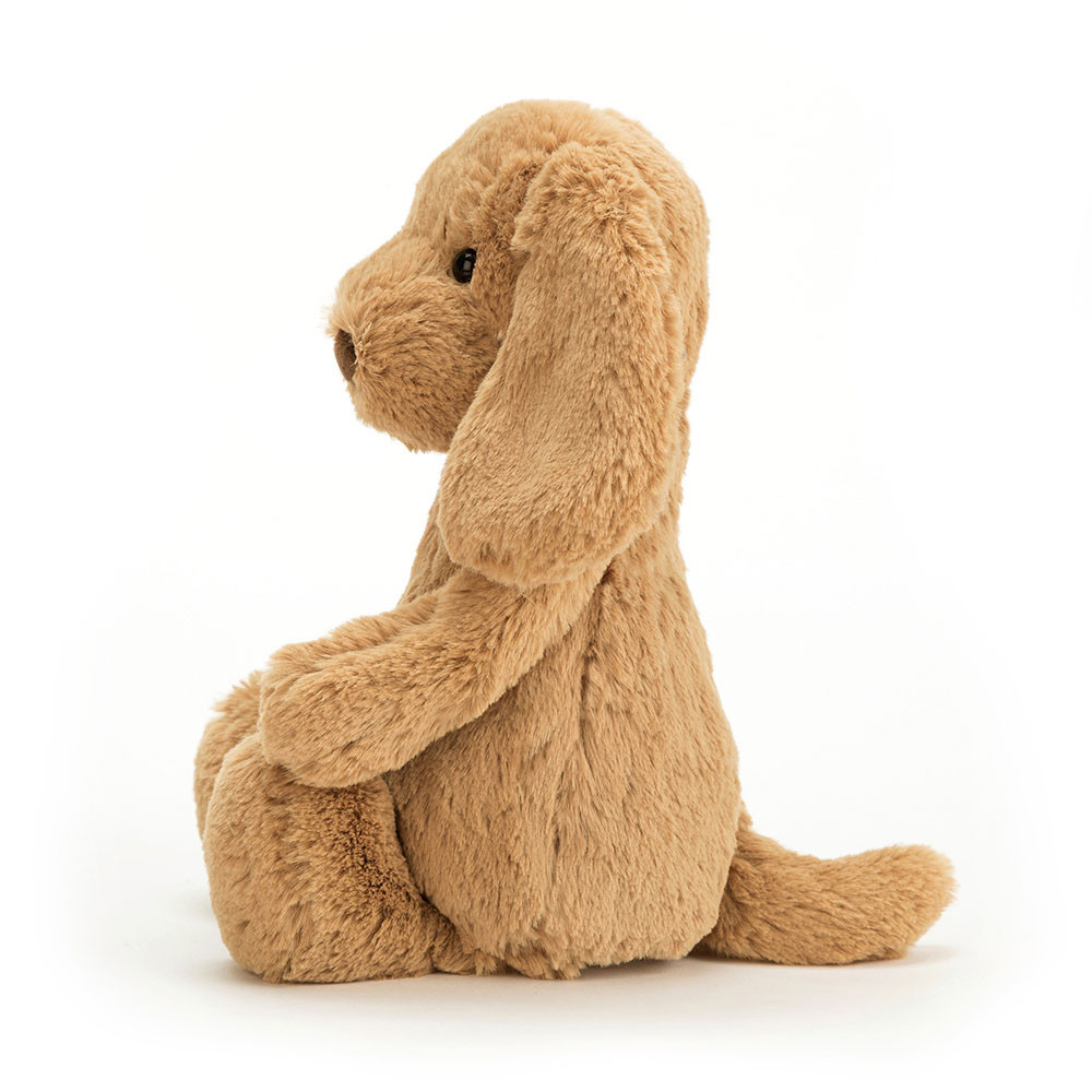 Bashful Toffee Puppy Original, Main View