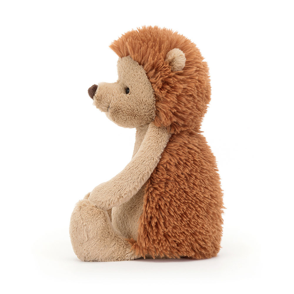 Bashful Hedgehog Original, View 2