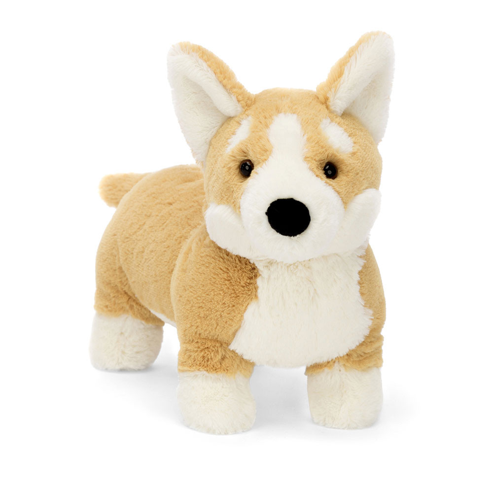 Betty Corgi, Main View