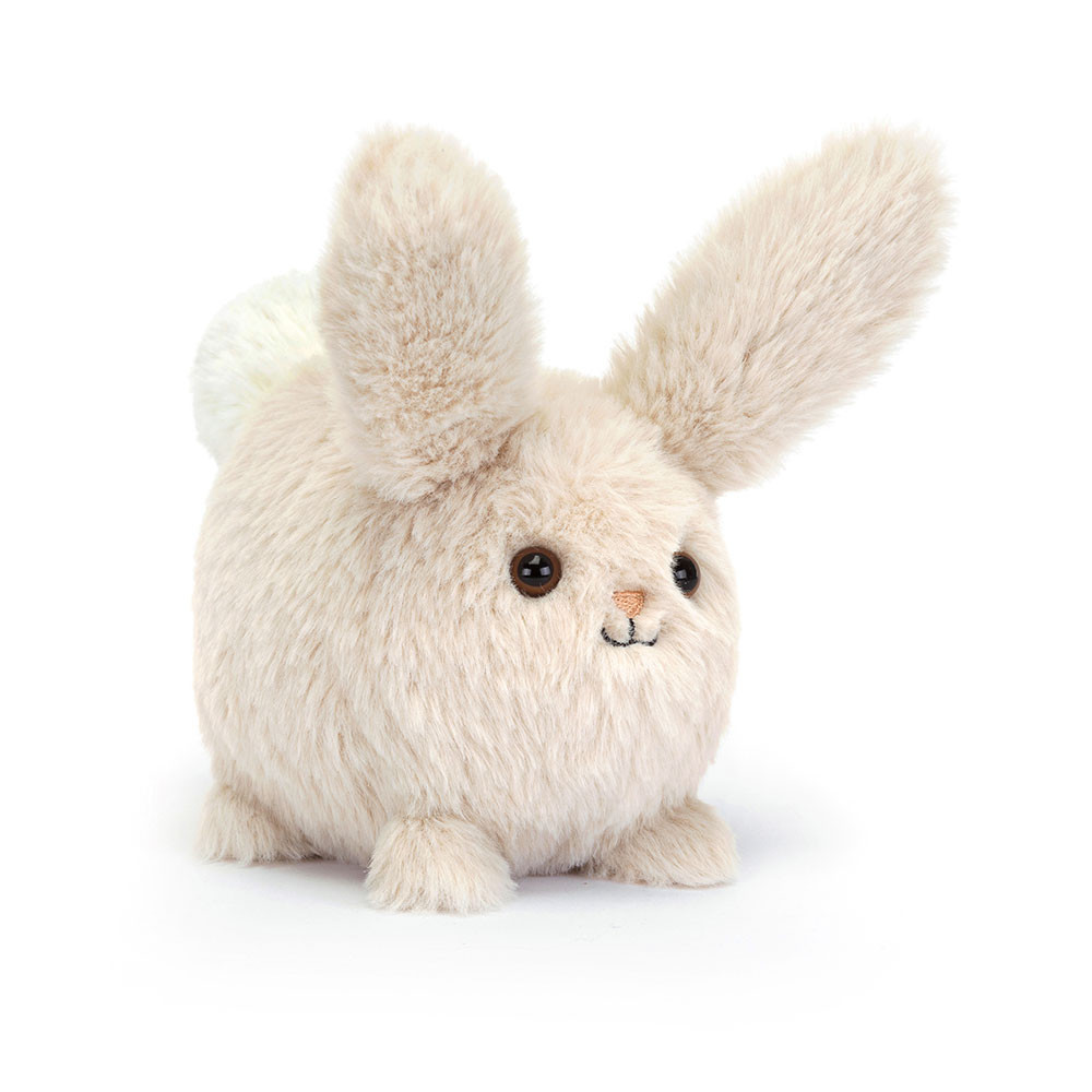 Caboodle Bunny, Main View