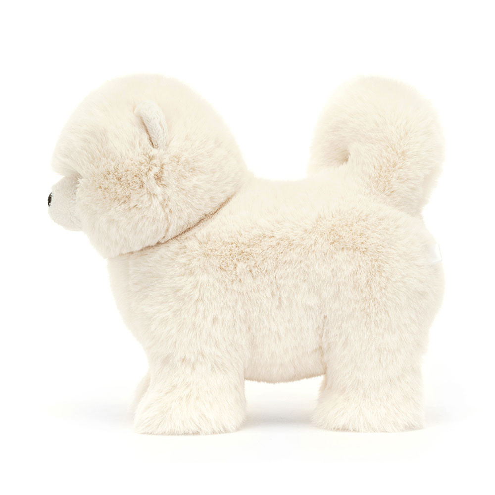 Daphne Pomeranian, View 2
